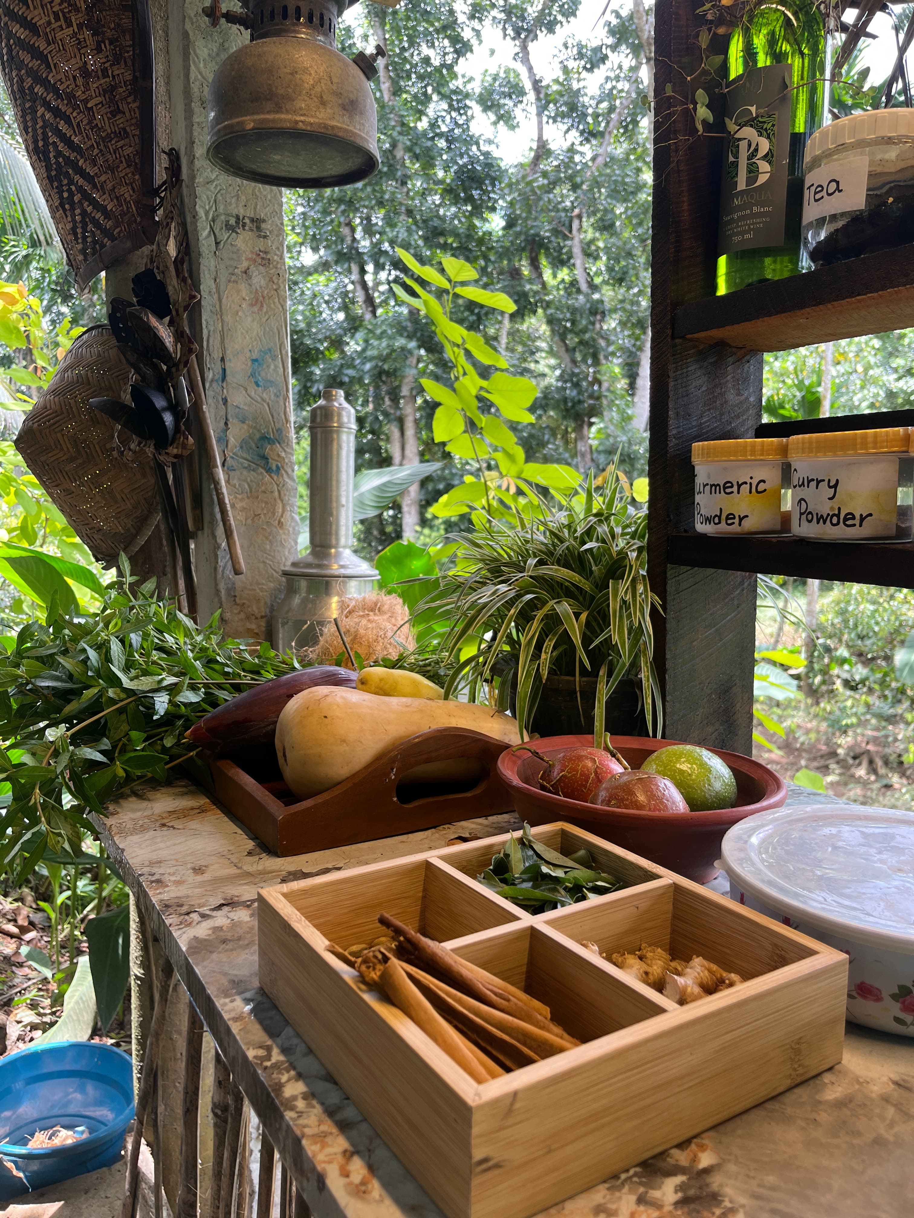 Garden herbs and curry leaves